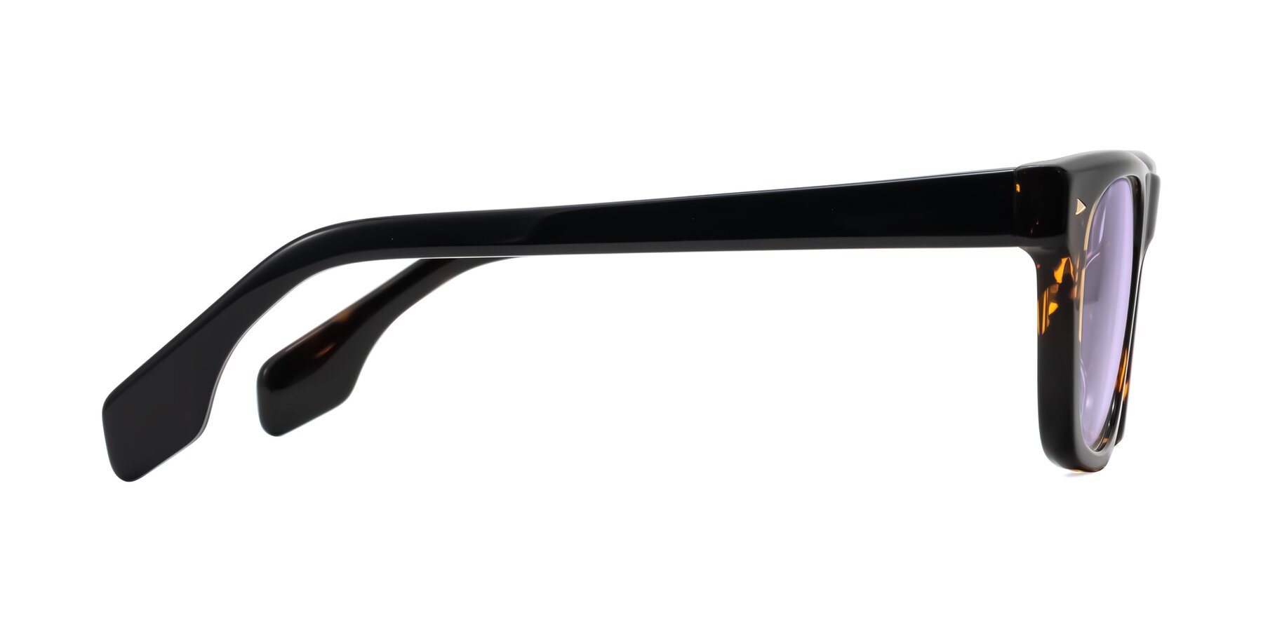 Side of Nesse in Tortoise with Light Purple Tinted Lenses