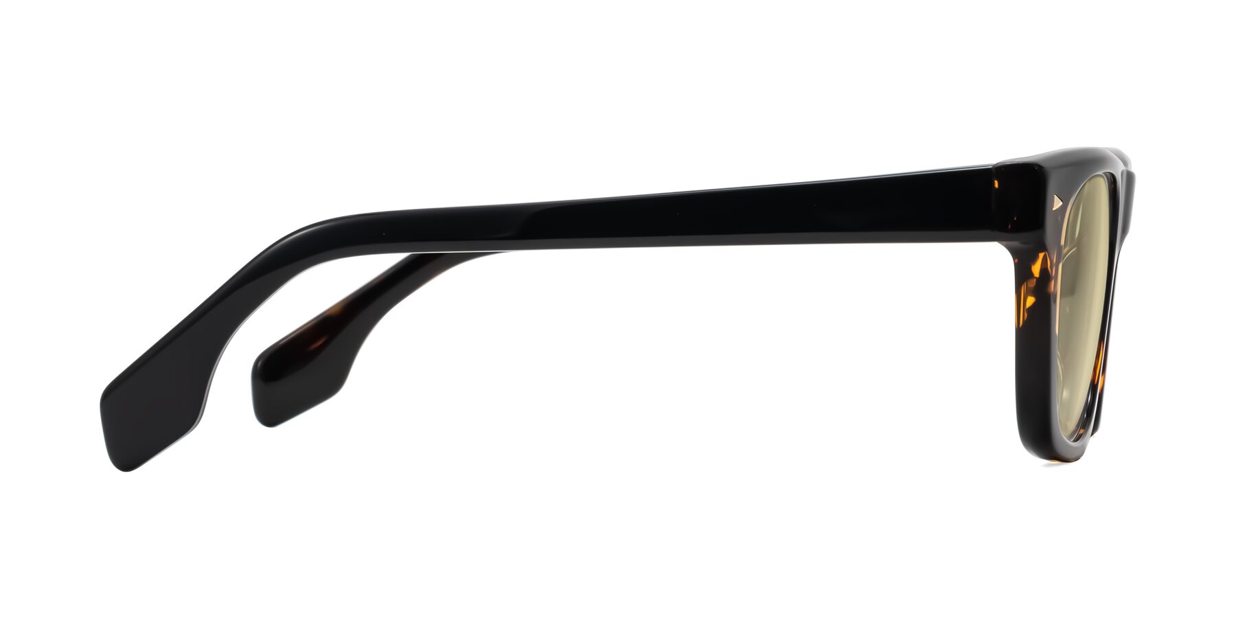 Side of Nesse in Tortoise with Light Champagne Tinted Lenses
