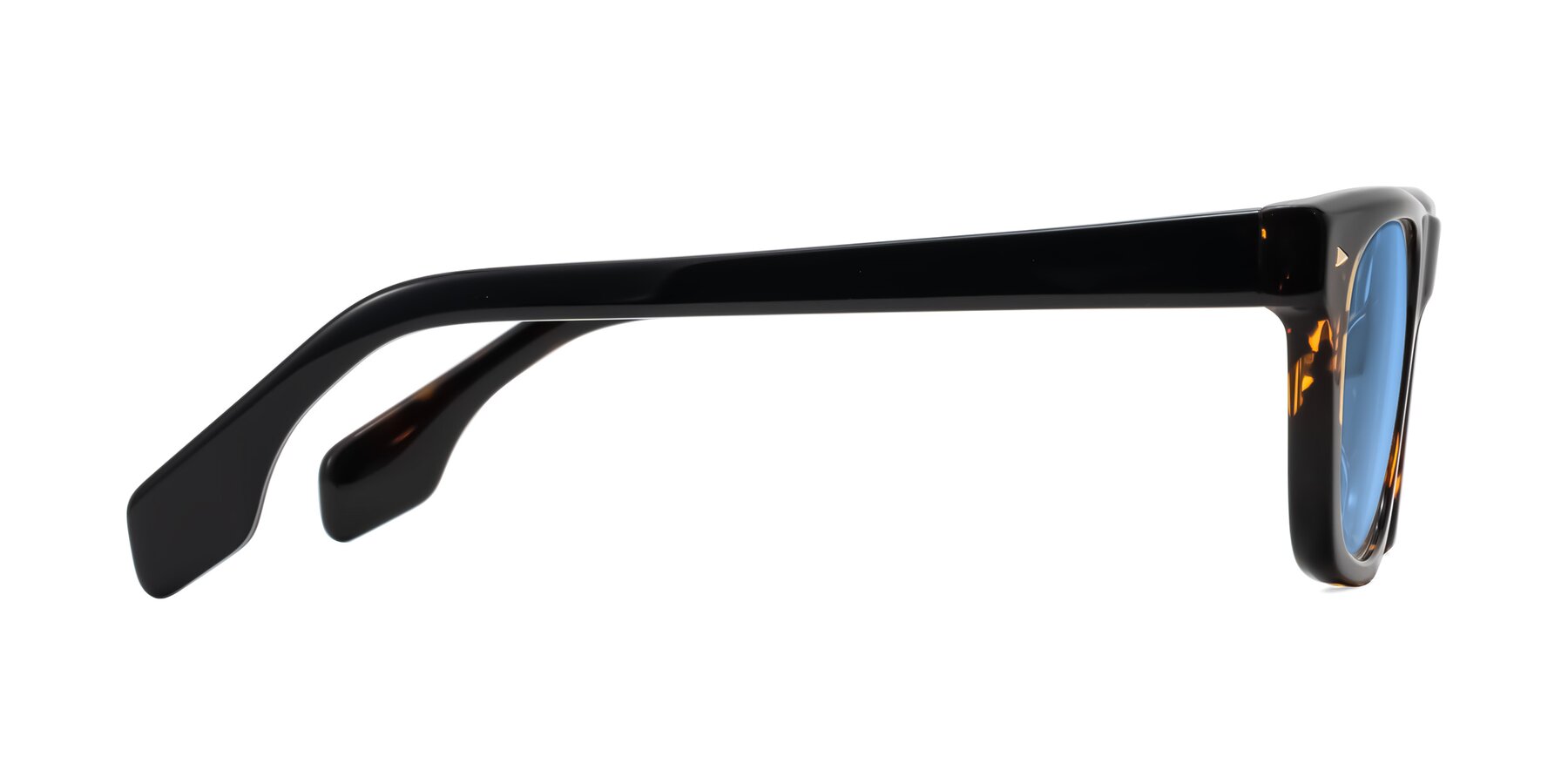 Side of Nesse in Tortoise with Medium Blue Tinted Lenses