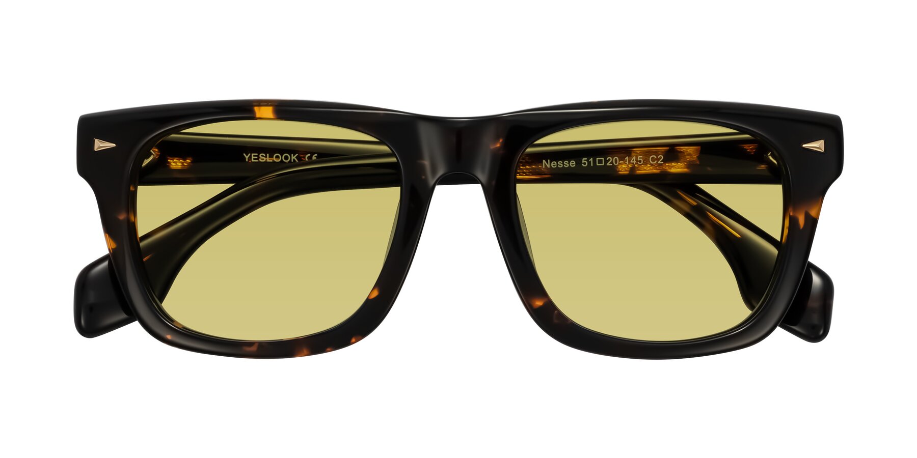 Folded Front of Nesse in Tortoise with Medium Champagne Tinted Lenses