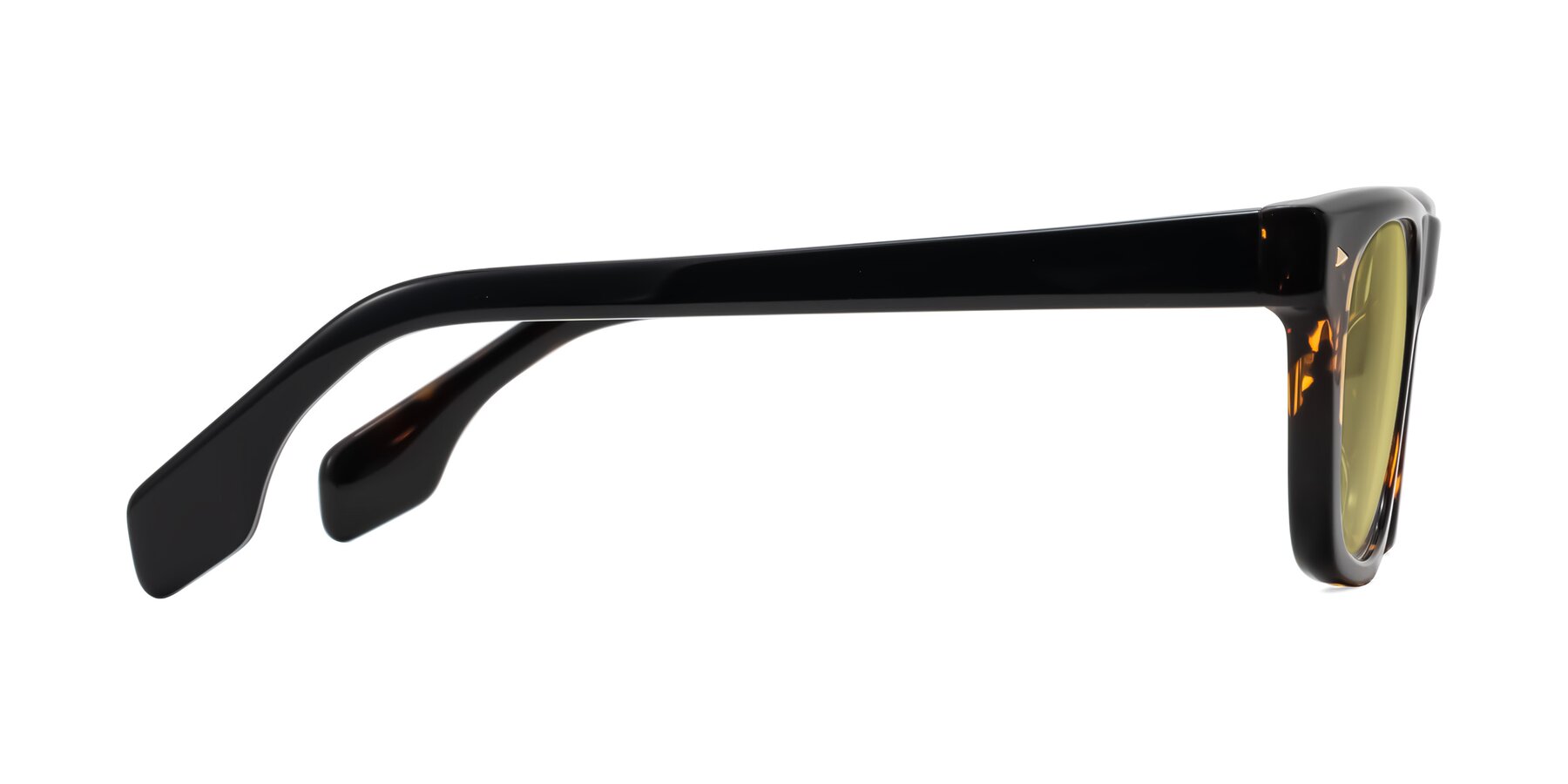Side of Nesse in Tortoise with Medium Champagne Tinted Lenses