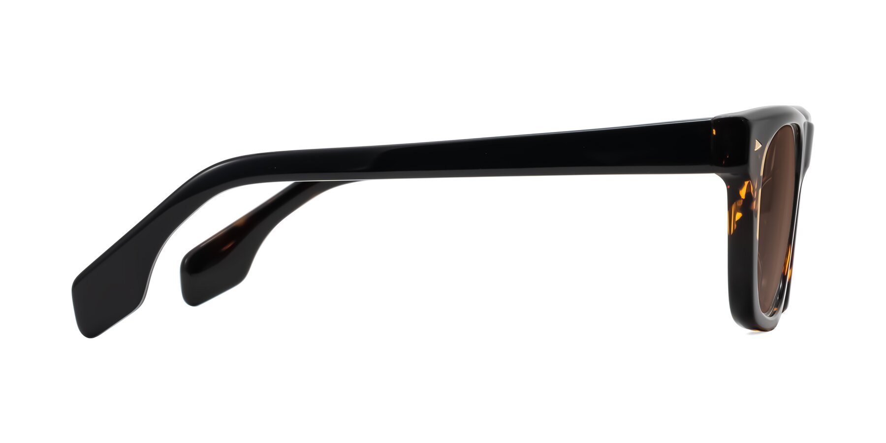 Side of Nesse in Tortoise with Brown Tinted Lenses