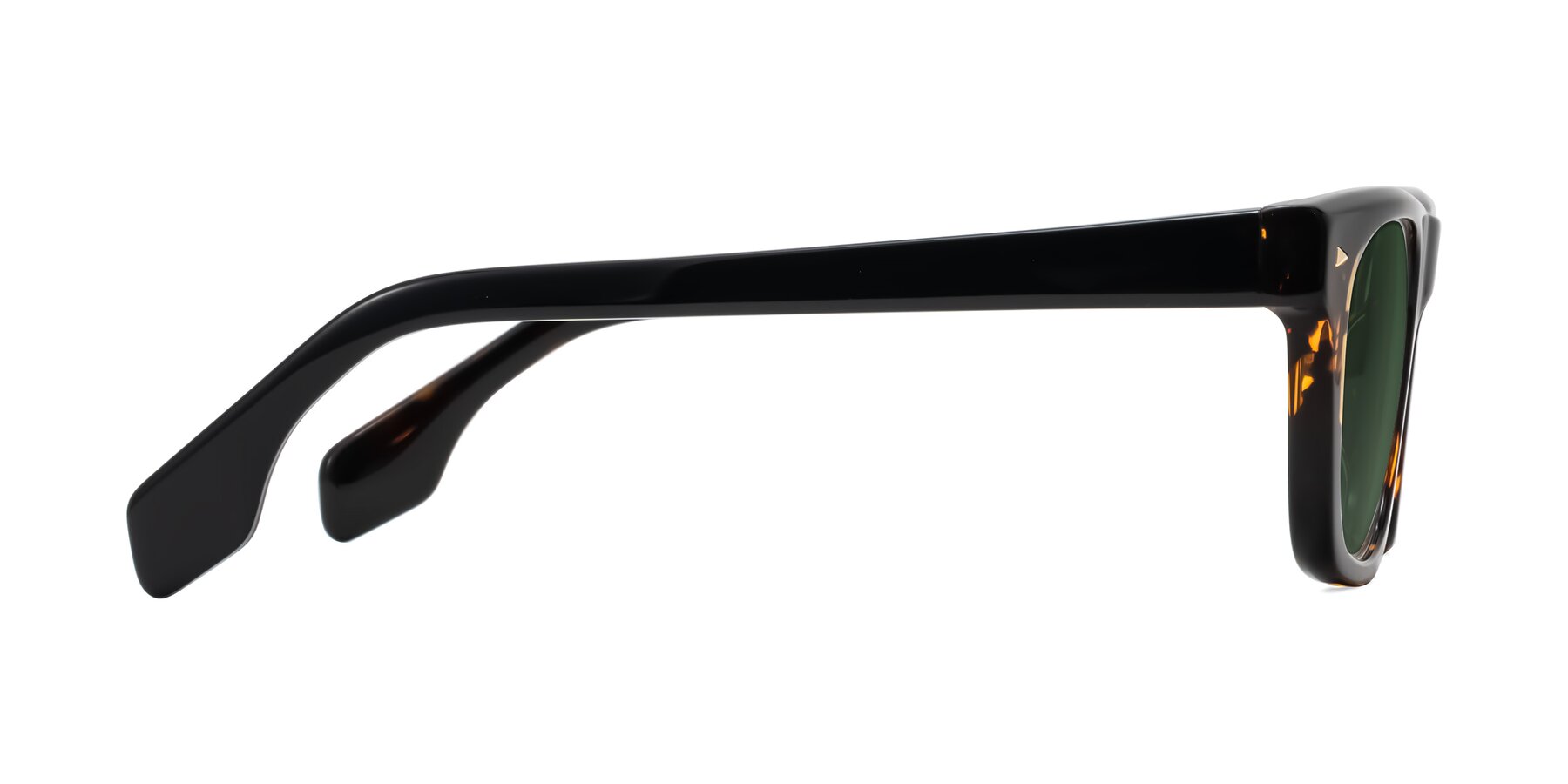 Side of Nesse in Tortoise with Green Tinted Lenses