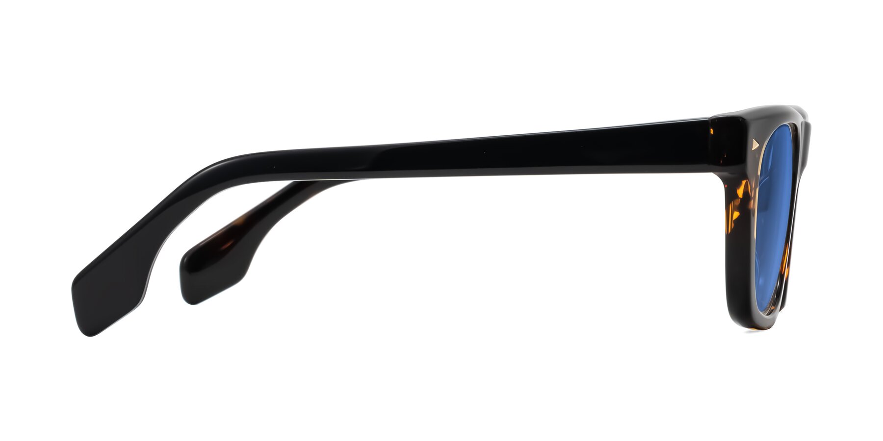 Side of Nesse in Tortoise with Blue Tinted Lenses