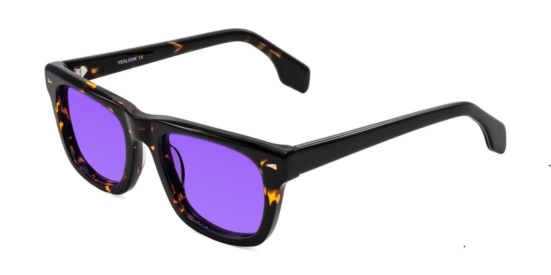 Angle of Nesse in Tortoise with Purple Tinted Lenses
