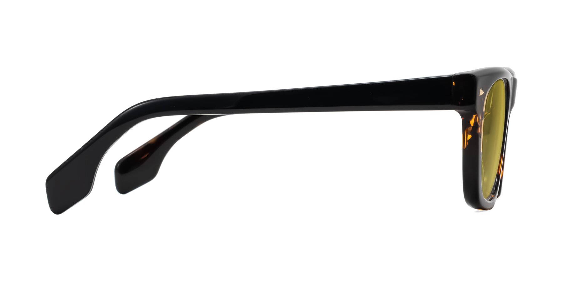 Side of Nesse in Tortoise with Champagne Tinted Lenses