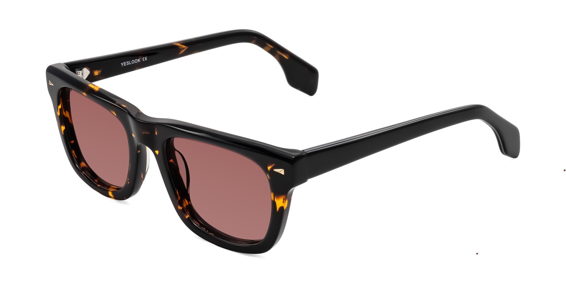 Angle of Nesse in Tortoise with Garnet Tinted Lenses