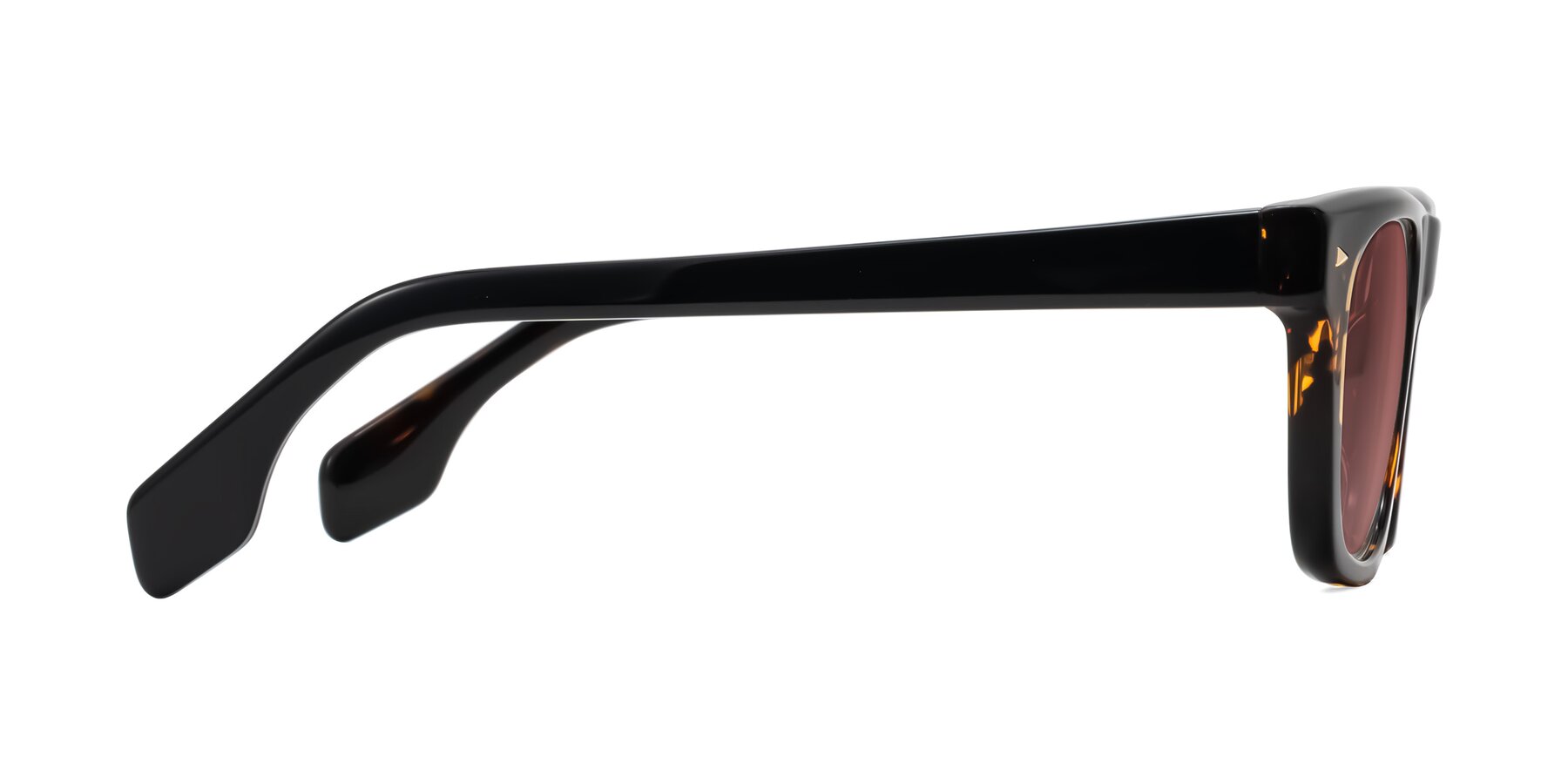 Side of Nesse in Tortoise with Garnet Tinted Lenses