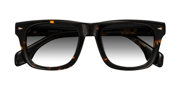 Front of Nesse in Tortoise