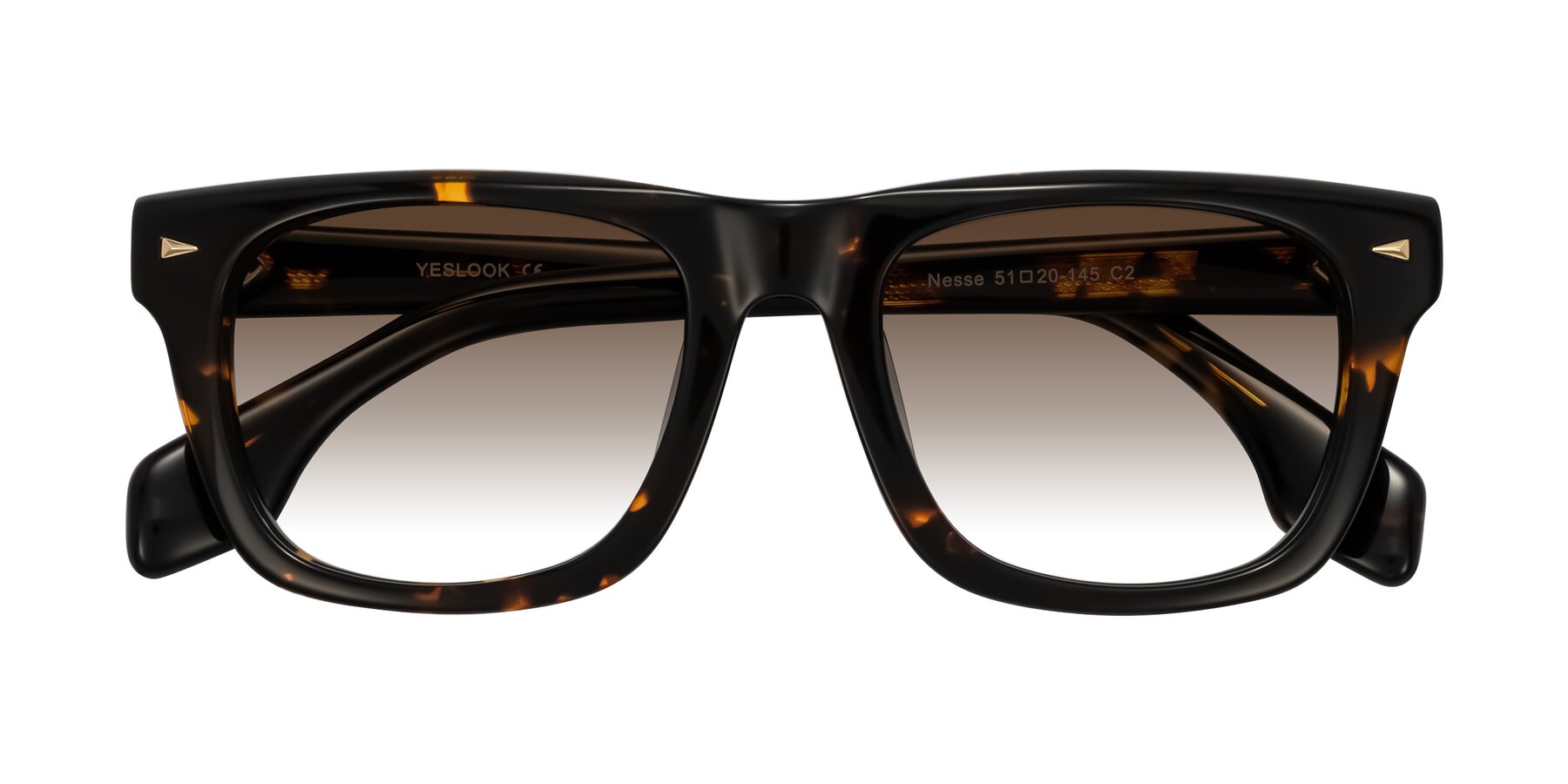 Folded Front of Nesse in Tortoise with Brown Gradient Lenses