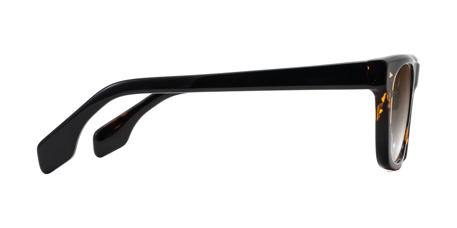 Side of Nesse in Tortoise with Brown Gradient Lenses