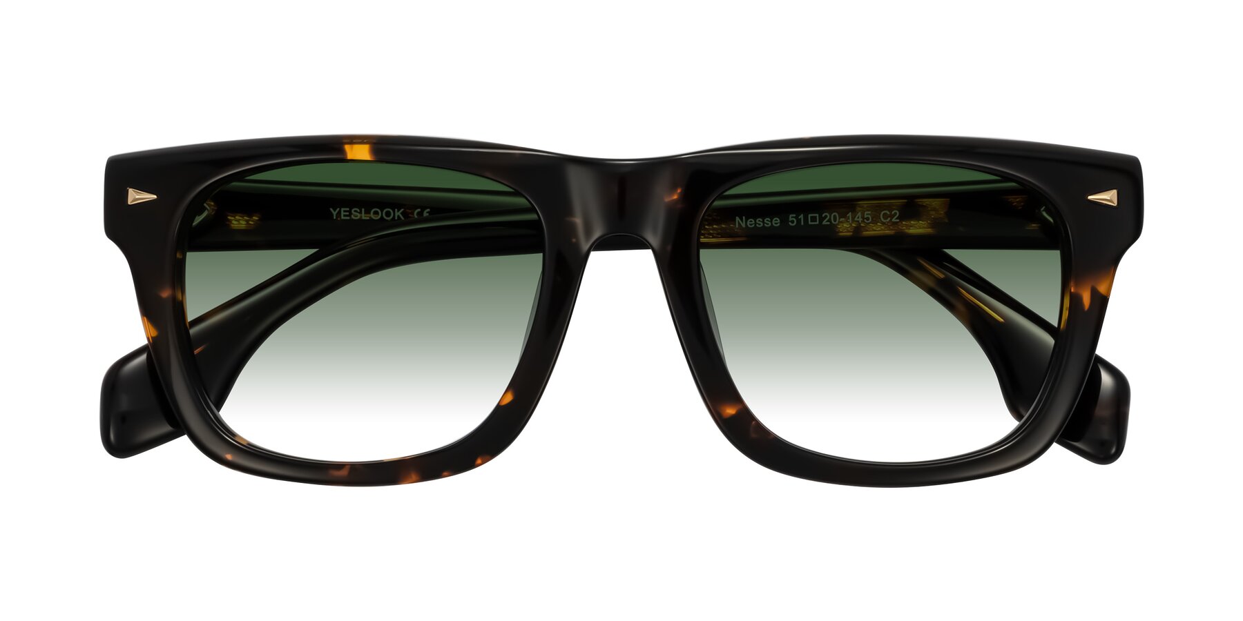 Folded Front of Nesse in Tortoise with Green Gradient Lenses