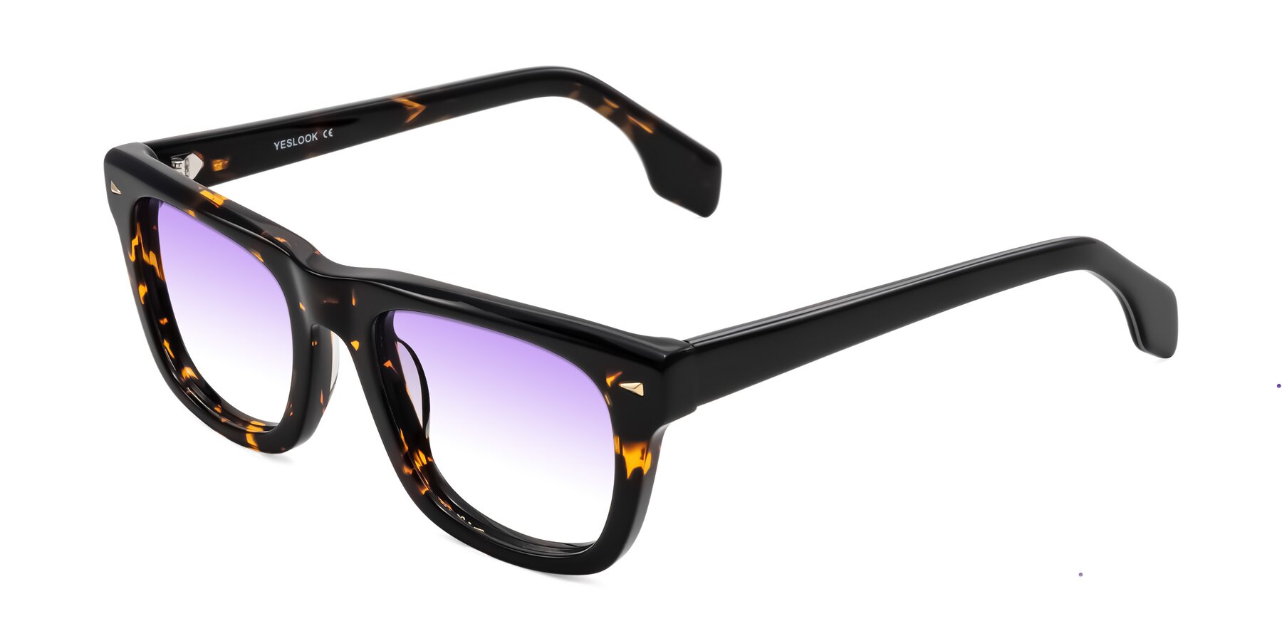 Angle of Nesse in Tortoise with Purple Gradient Lenses