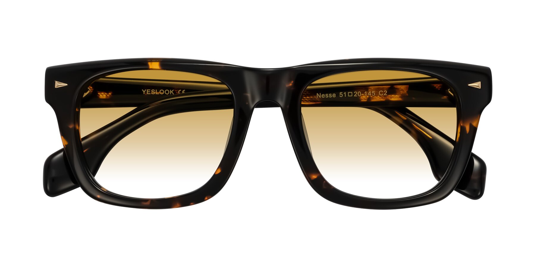 Folded Front of Nesse in Tortoise with Champagne Gradient Lenses