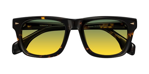 Front of Nesse in Tortoise