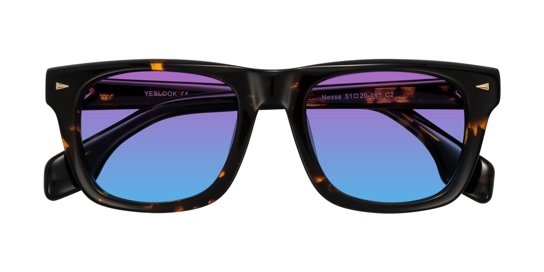 Folded Front of Nesse in Tortoise with Purple / Blue Gradient Lenses