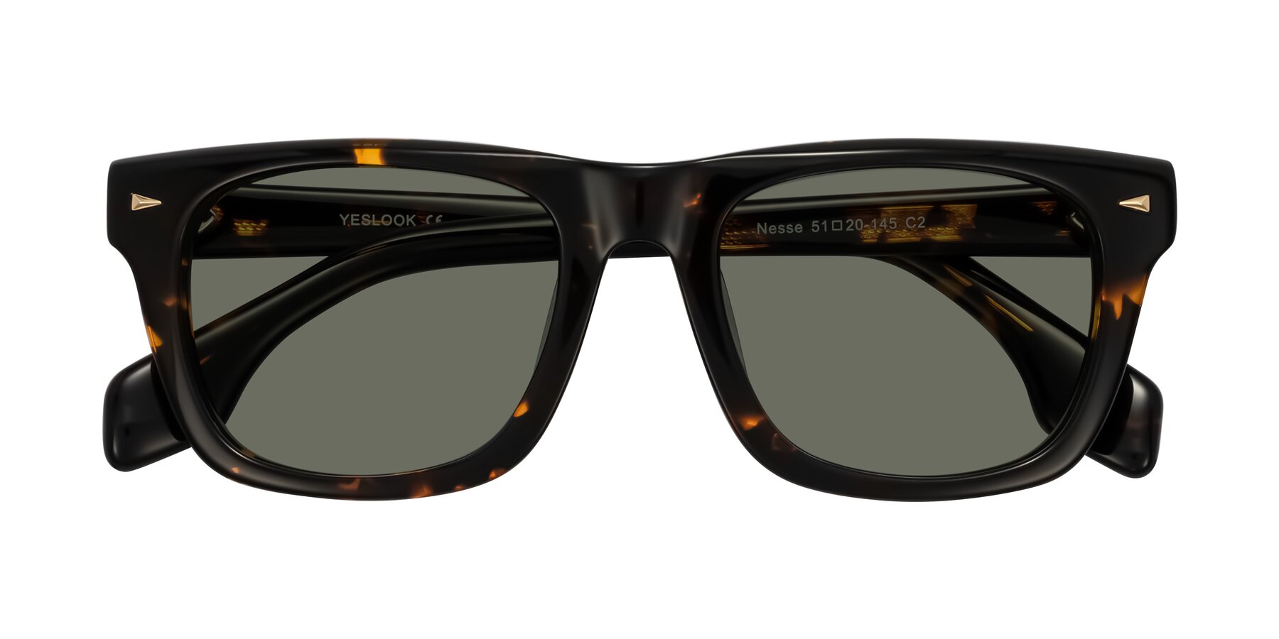 Folded Front of Nesse in Tortoise with Gray Polarized Lenses