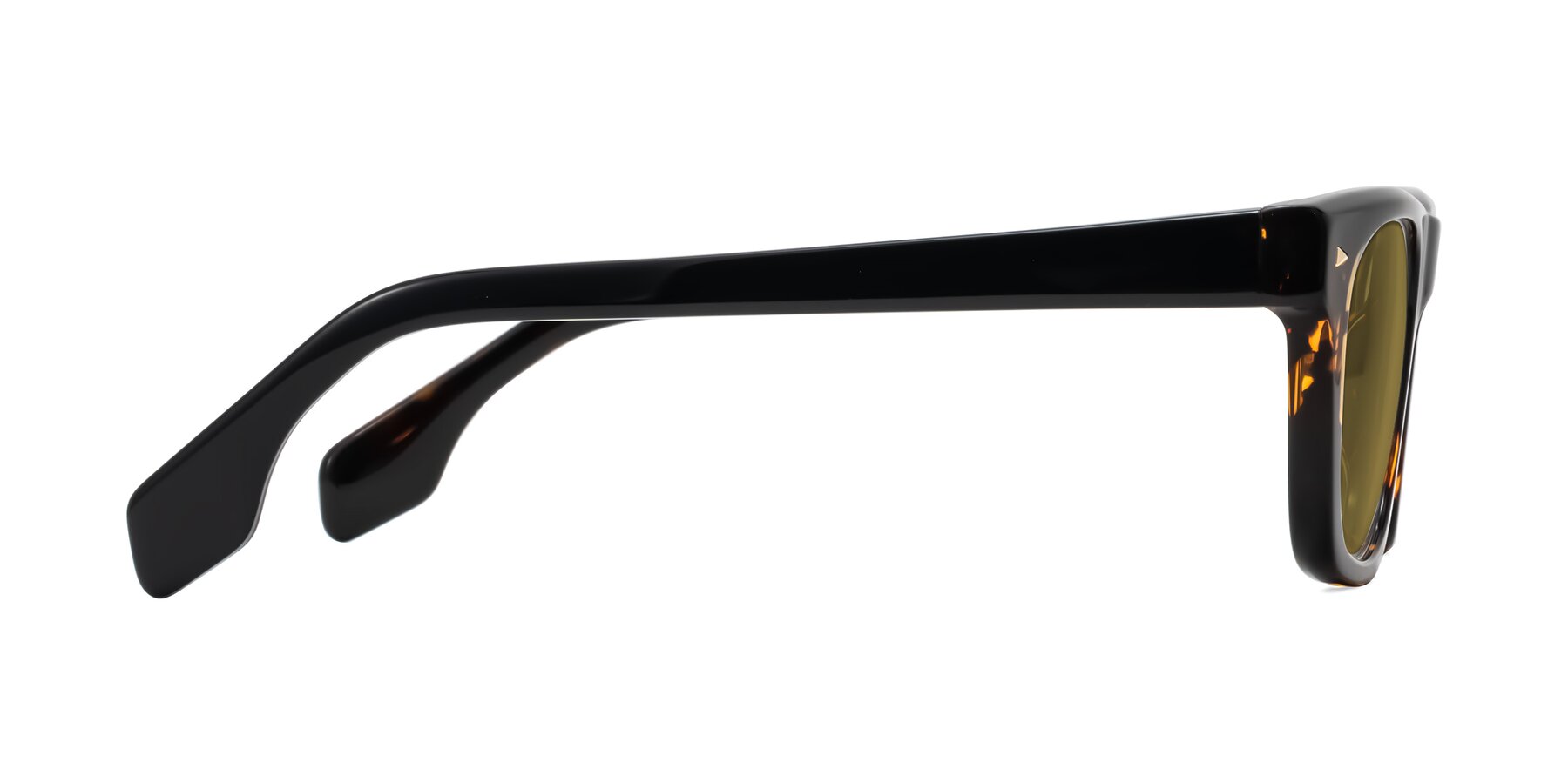 Side of Nesse in Tortoise with Brown Polarized Lenses