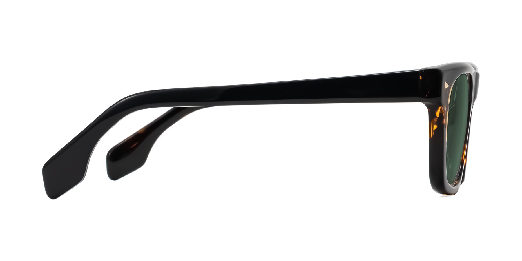 Side of Nesse in Tortoise with Green Polarized Lenses