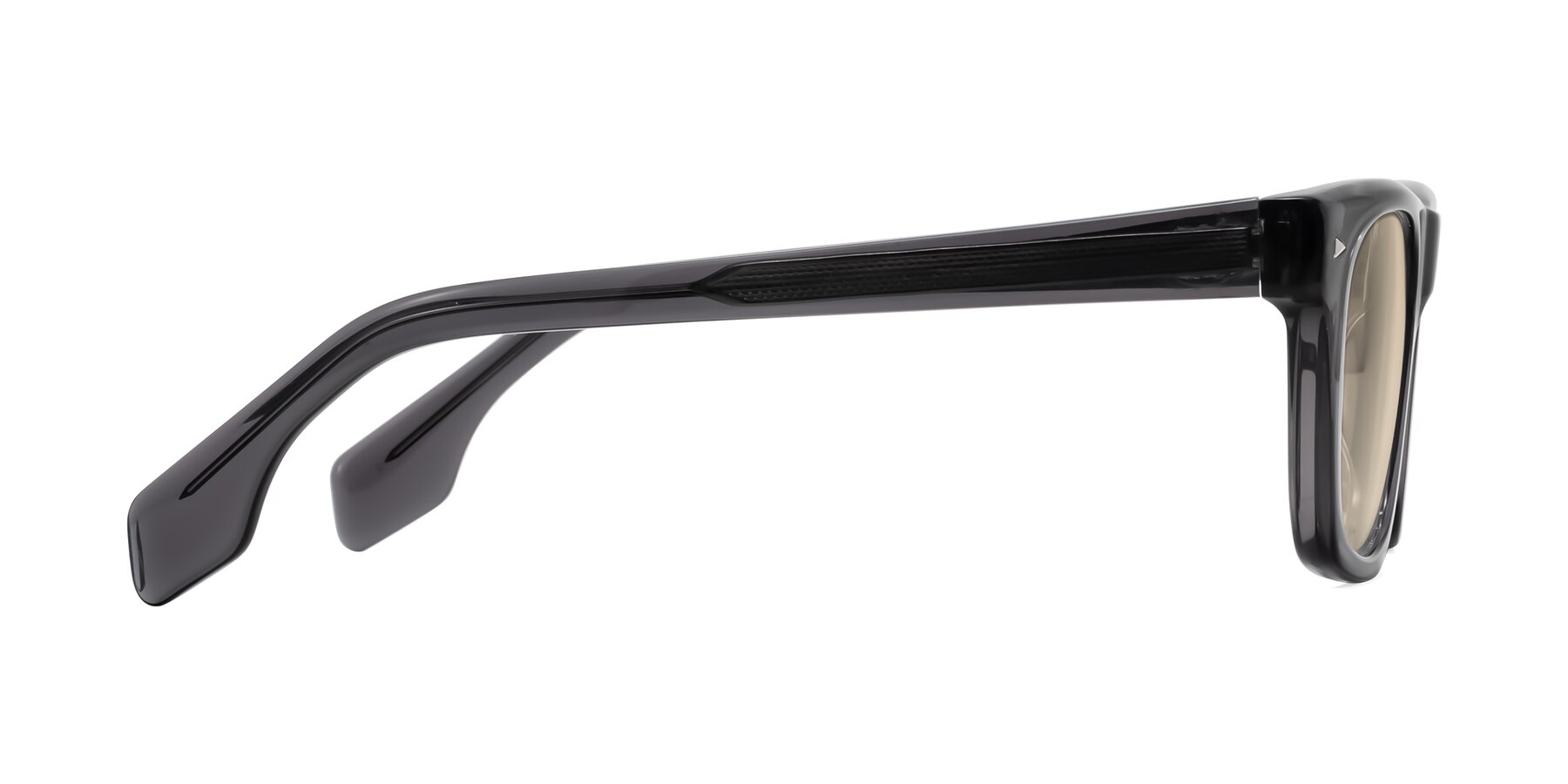 Side of Nesse in Transparent Gray with Light Brown Tinted Lenses