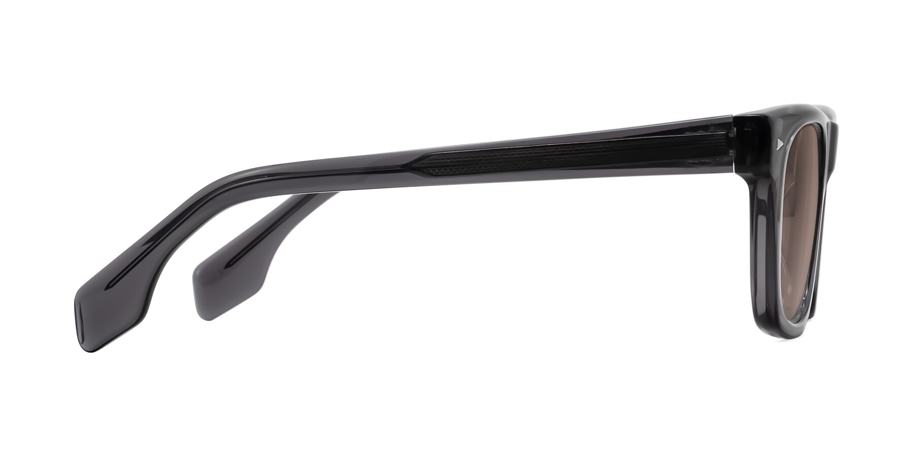 Side of Nesse in Transparent Gray with Medium Brown Tinted Lenses