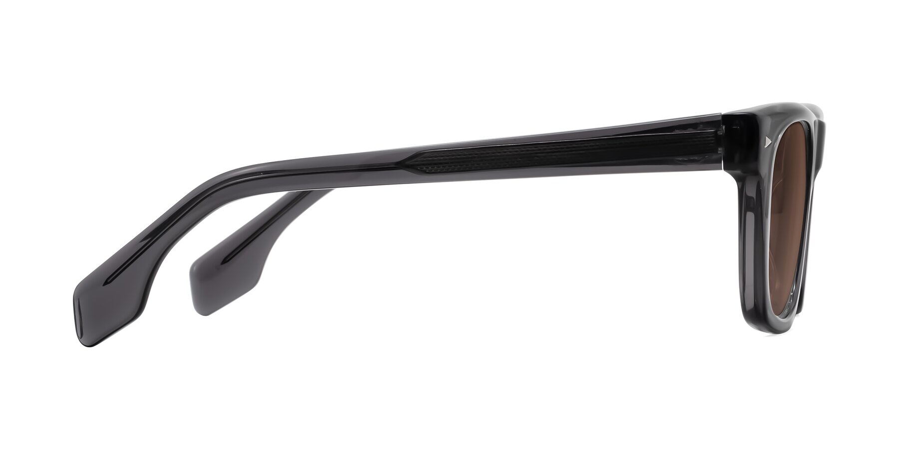 Side of Nesse in Transparent Gray with Brown Tinted Lenses