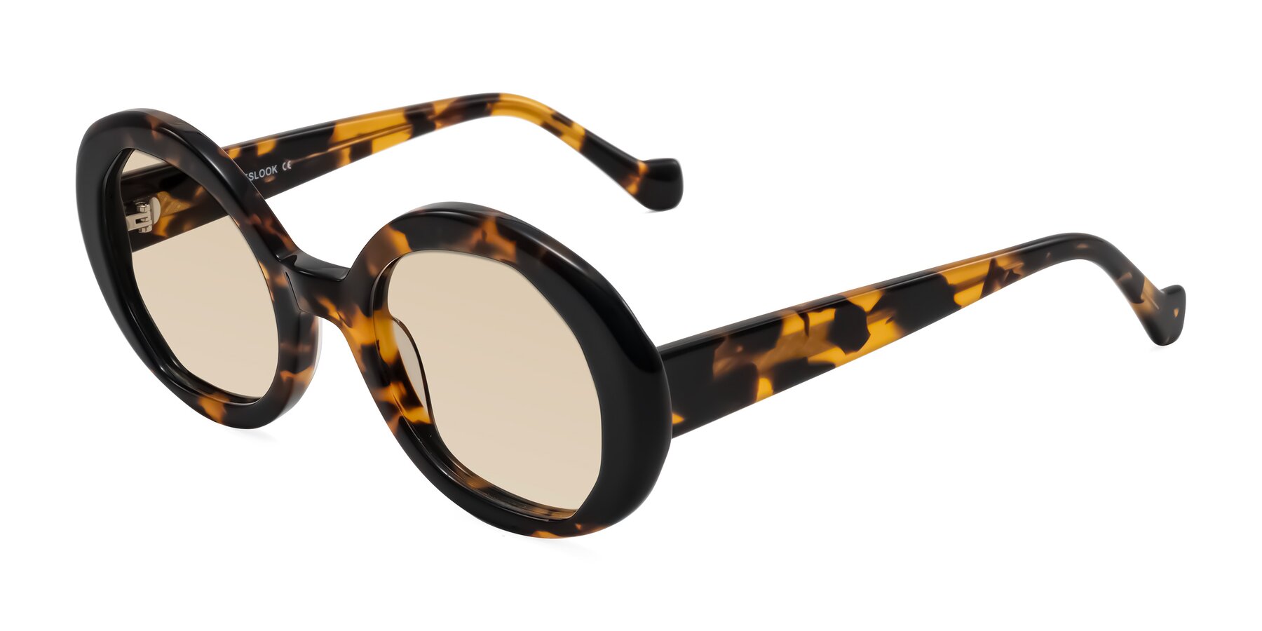 Angle of Rao in Tortoise/Black with Light Brown Tinted Lenses