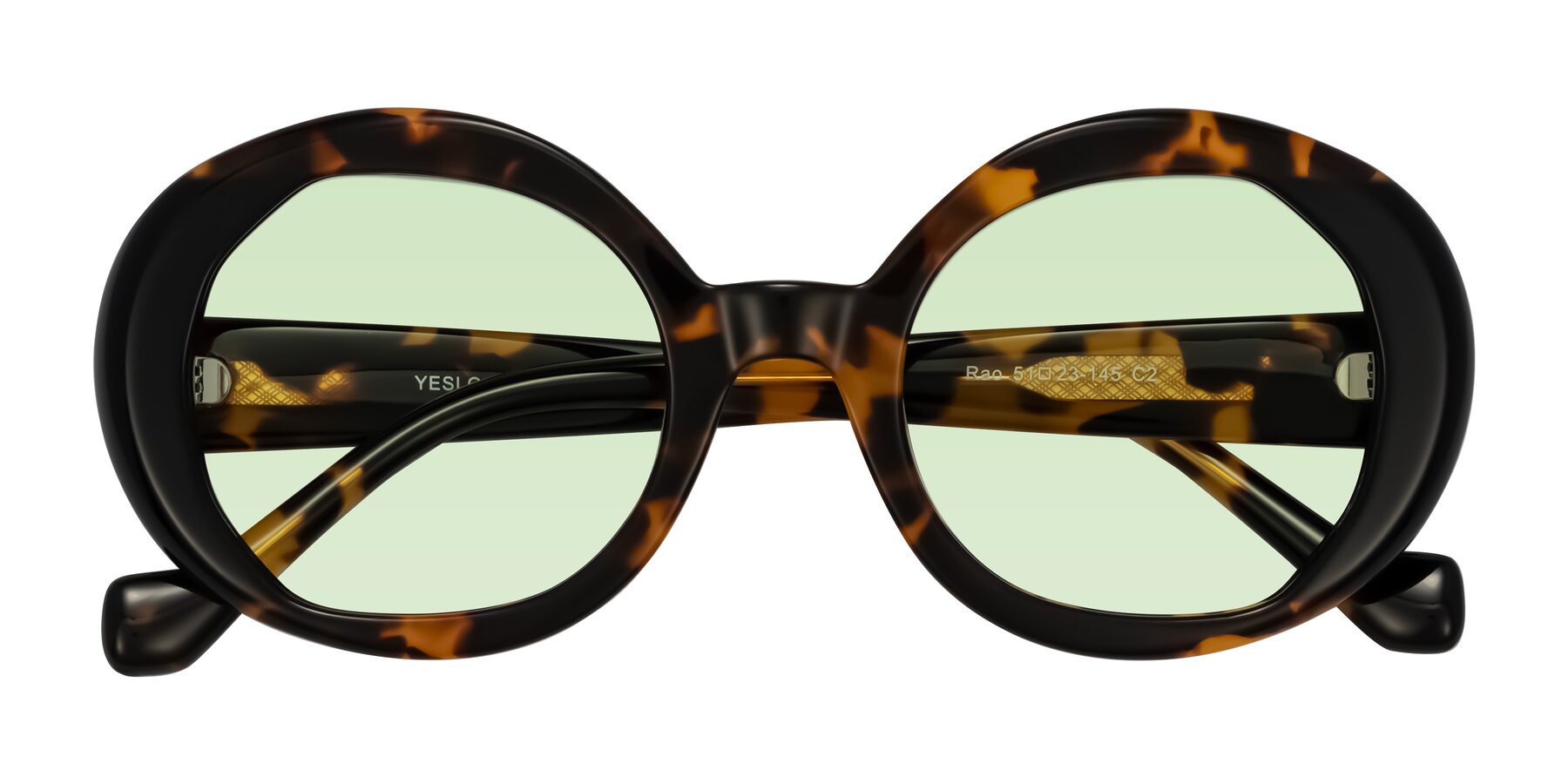 Folded Front of Rao in Tortoise/Black with Light Green Tinted Lenses