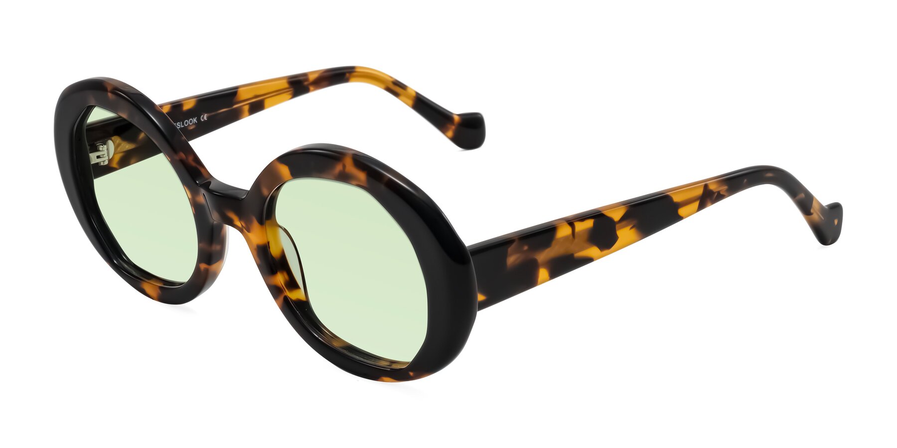 Angle of Rao in Tortoise/Black with Light Green Tinted Lenses