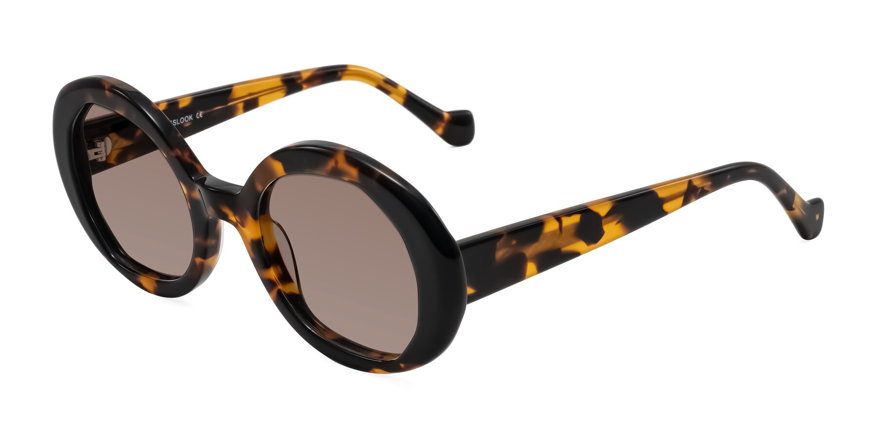 Angle of Rao in Tortoise/Black with Medium Brown Tinted Lenses