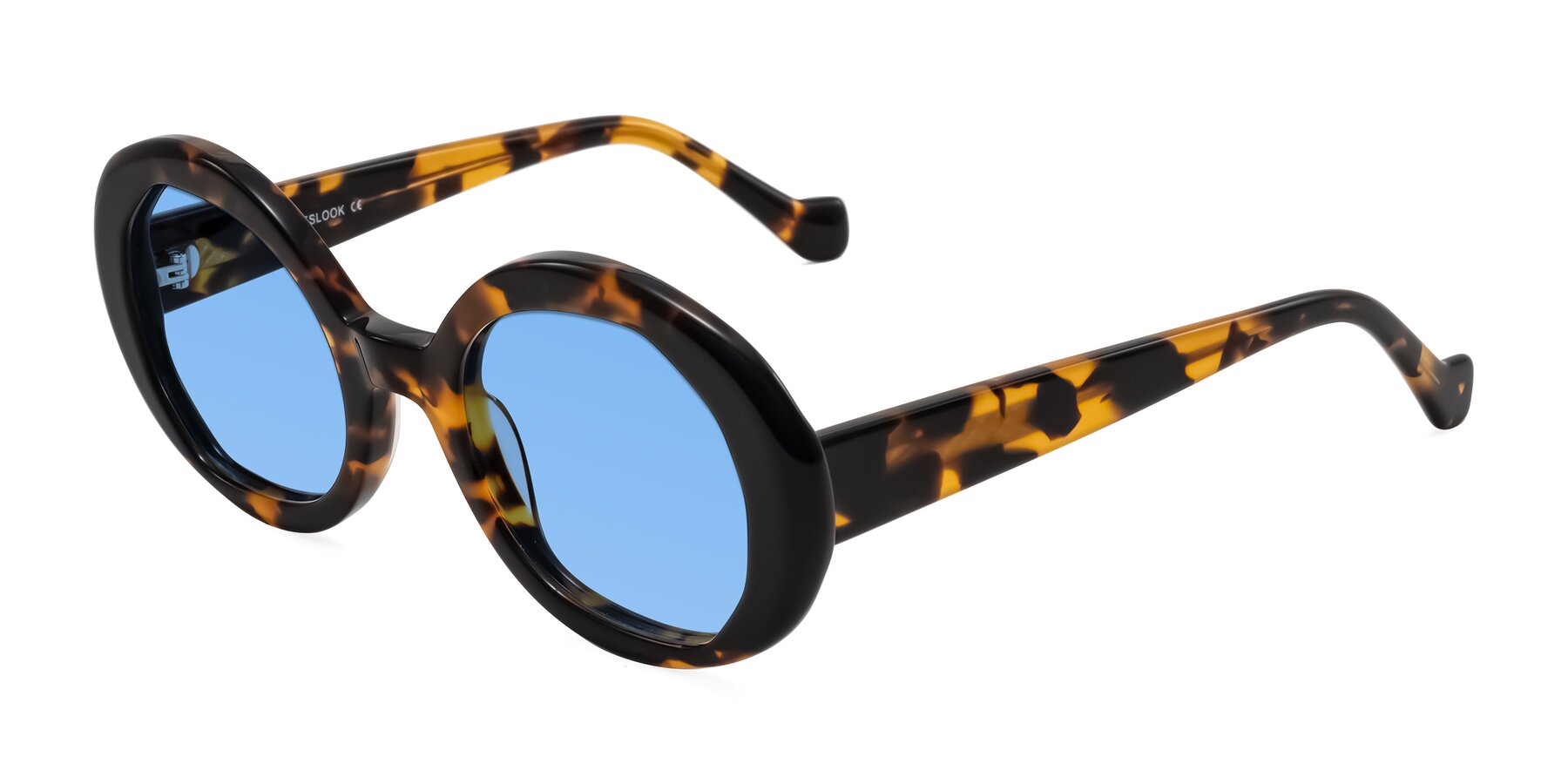 Angle of Rao in Tortoise/Black with Medium Blue Tinted Lenses