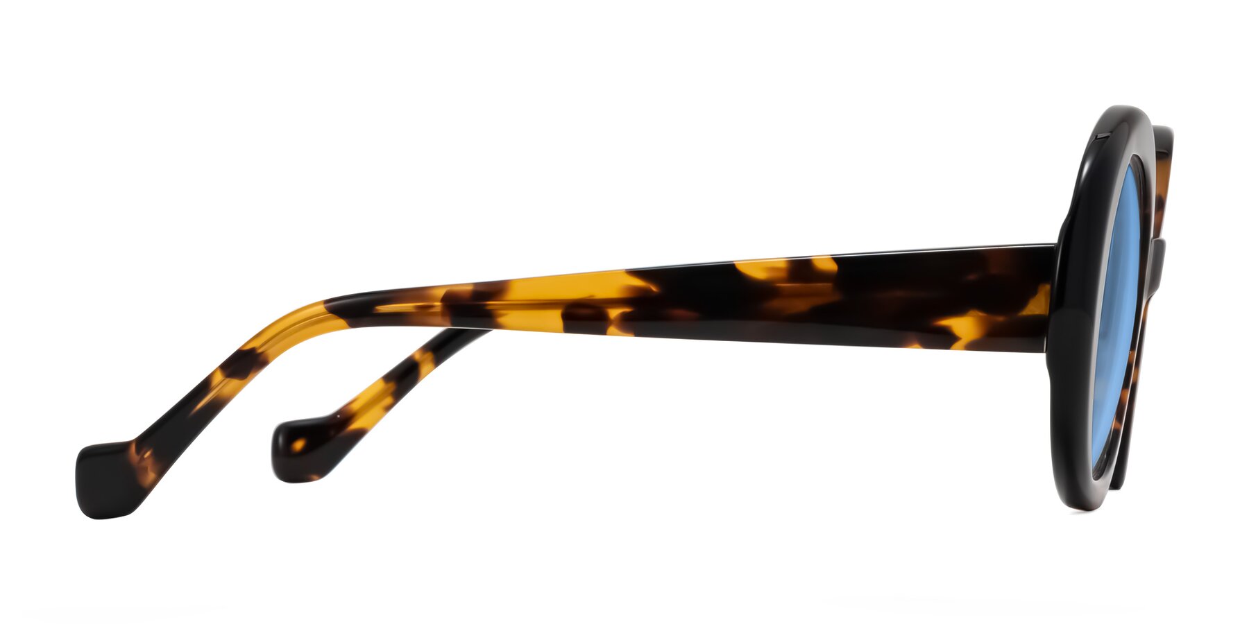Side of Rao in Tortoise/Black with Medium Blue Tinted Lenses