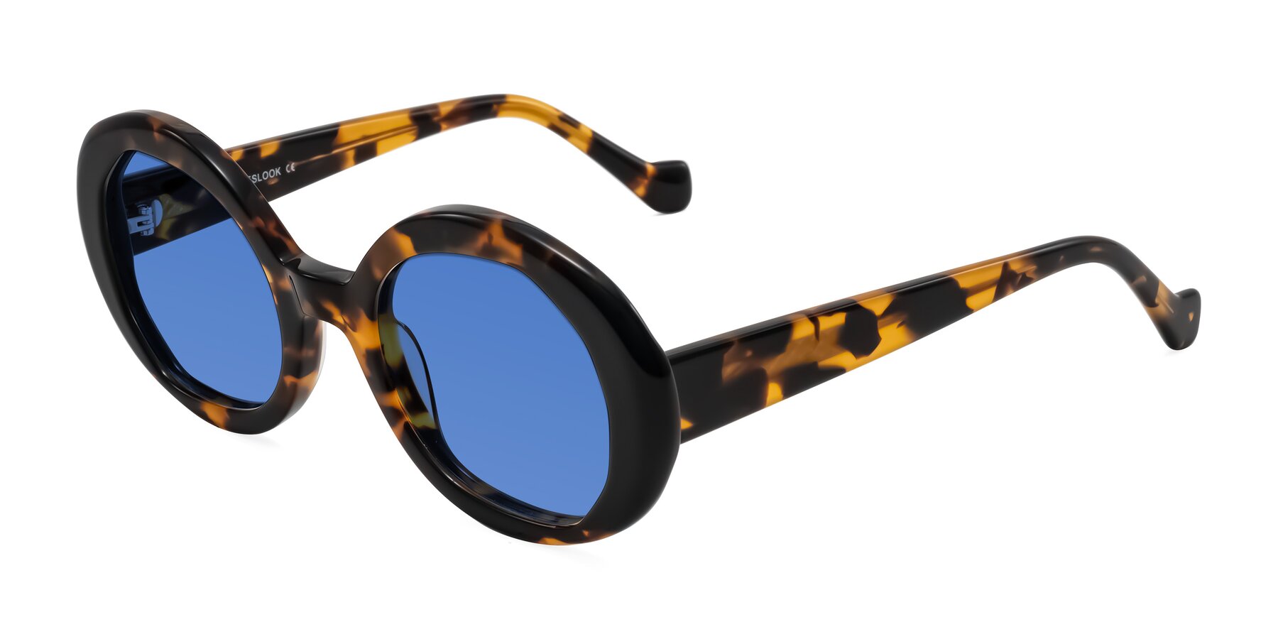 Angle of Rao in Tortoise/Black with Blue Tinted Lenses