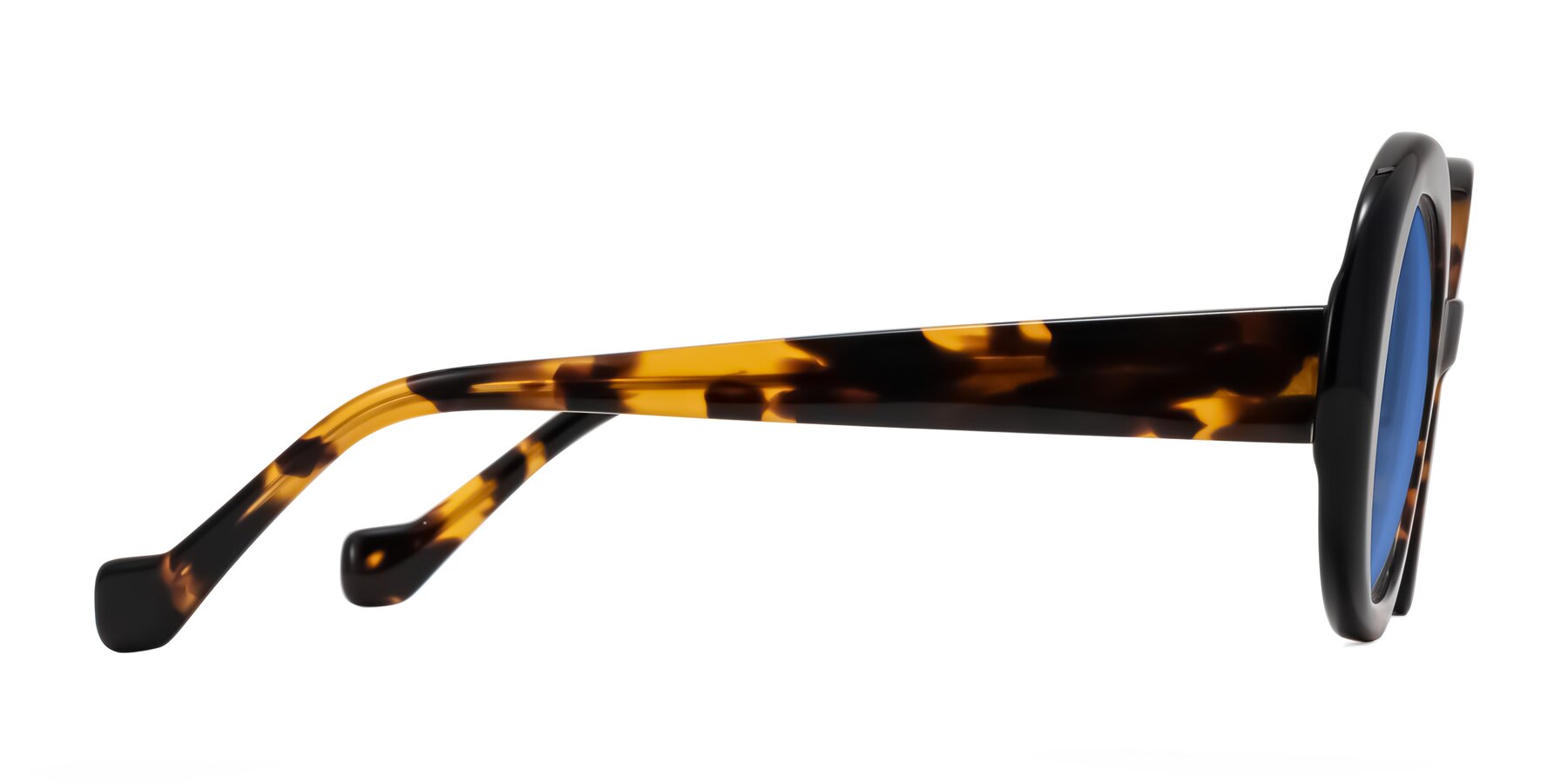 Side of Rao in Tortoise/Black with Blue Tinted Lenses