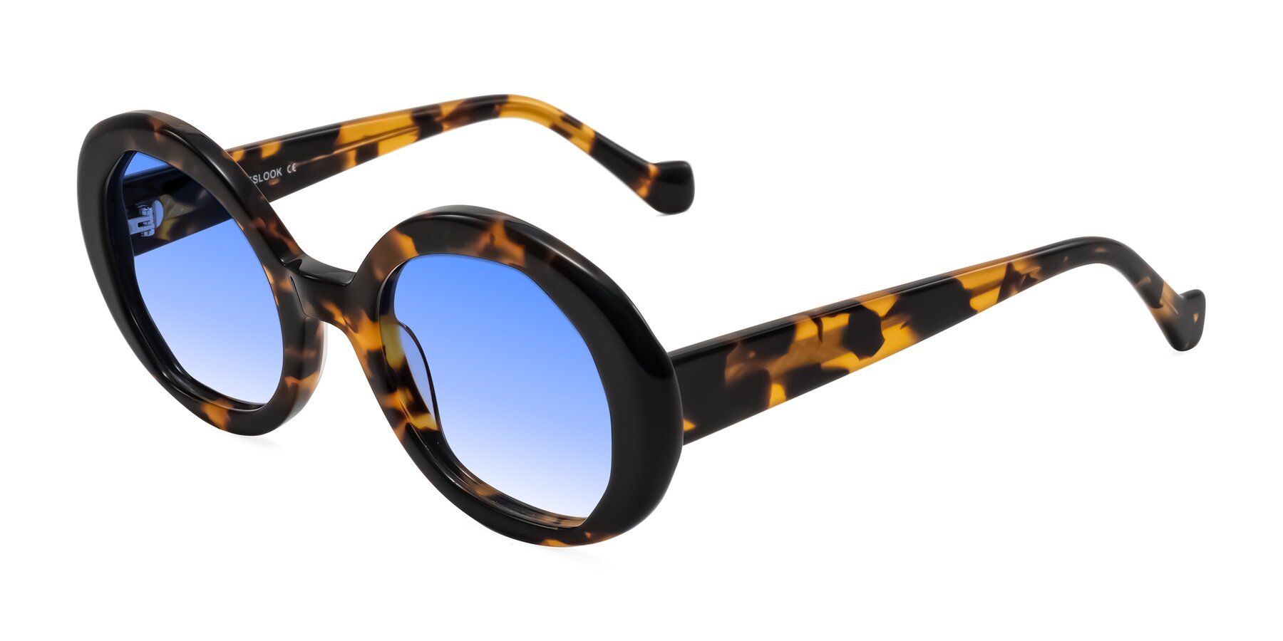 Angle of Rao in Tortoise/Black with Blue Gradient Lenses