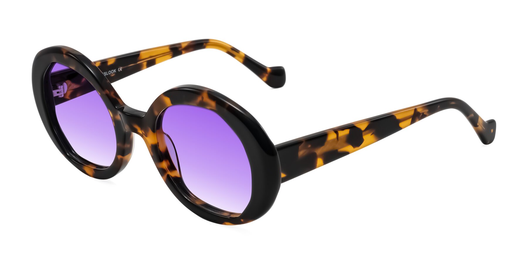 Angle of Rao in Tortoise/Black with Purple Gradient Lenses