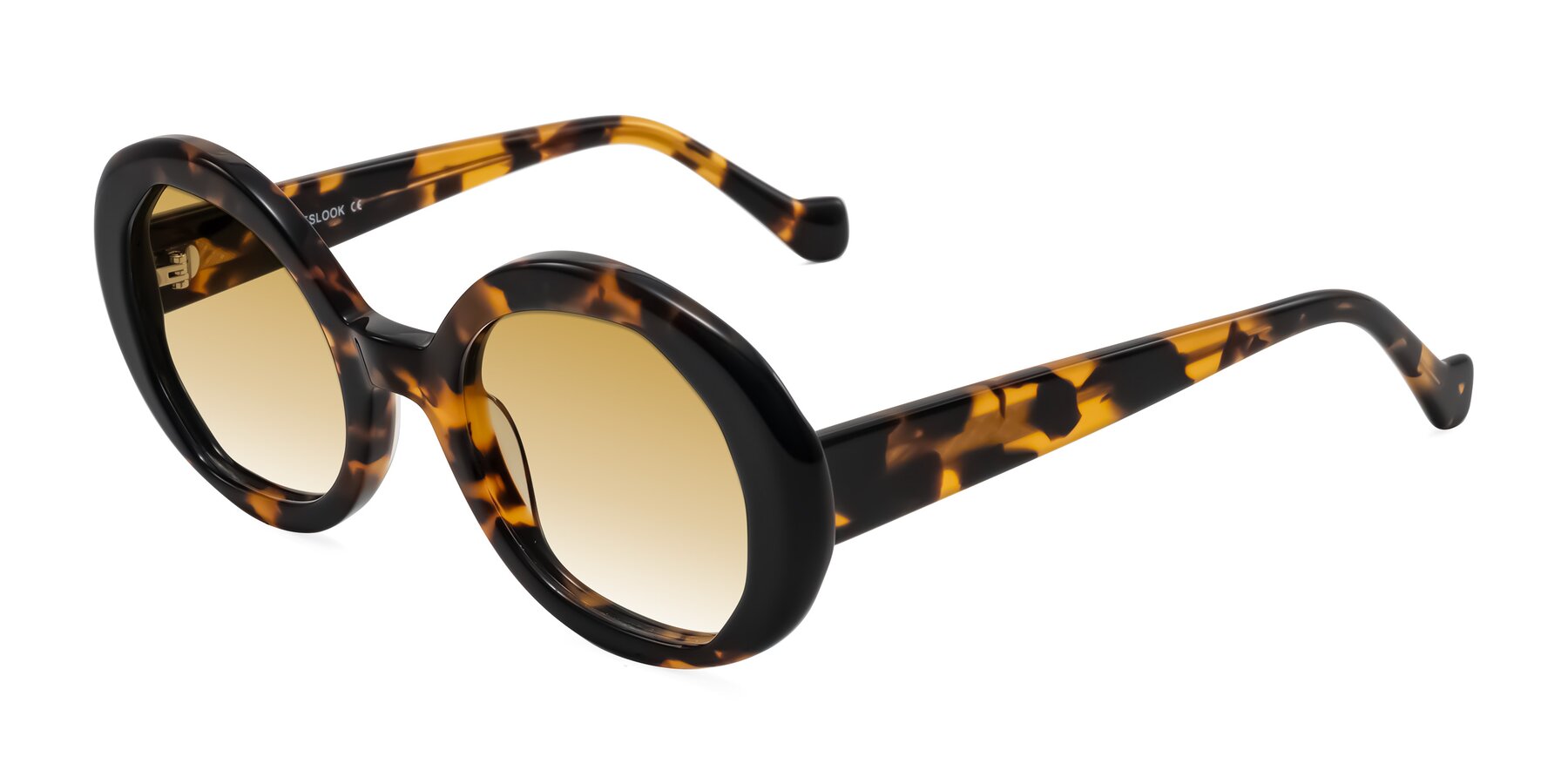 Angle of Rao in Tortoise/Black with Champagne Gradient Lenses