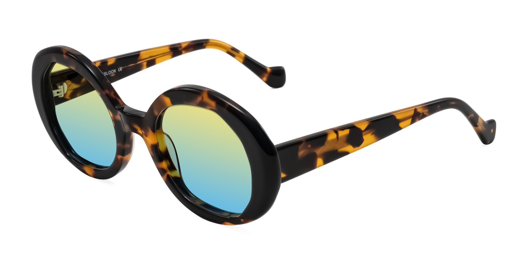 Angle of Rao in Tortoise/Black with Yellow / Blue Gradient Lenses