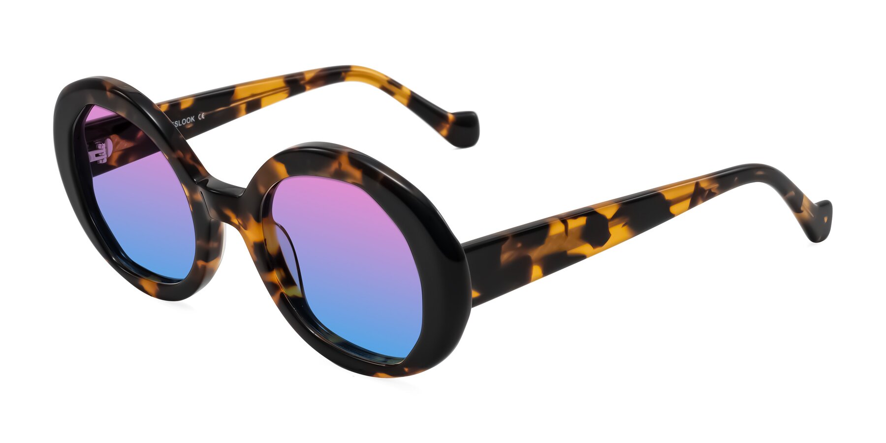 Angle of Rao in Tortoise/Black with Pink / Blue Gradient Lenses