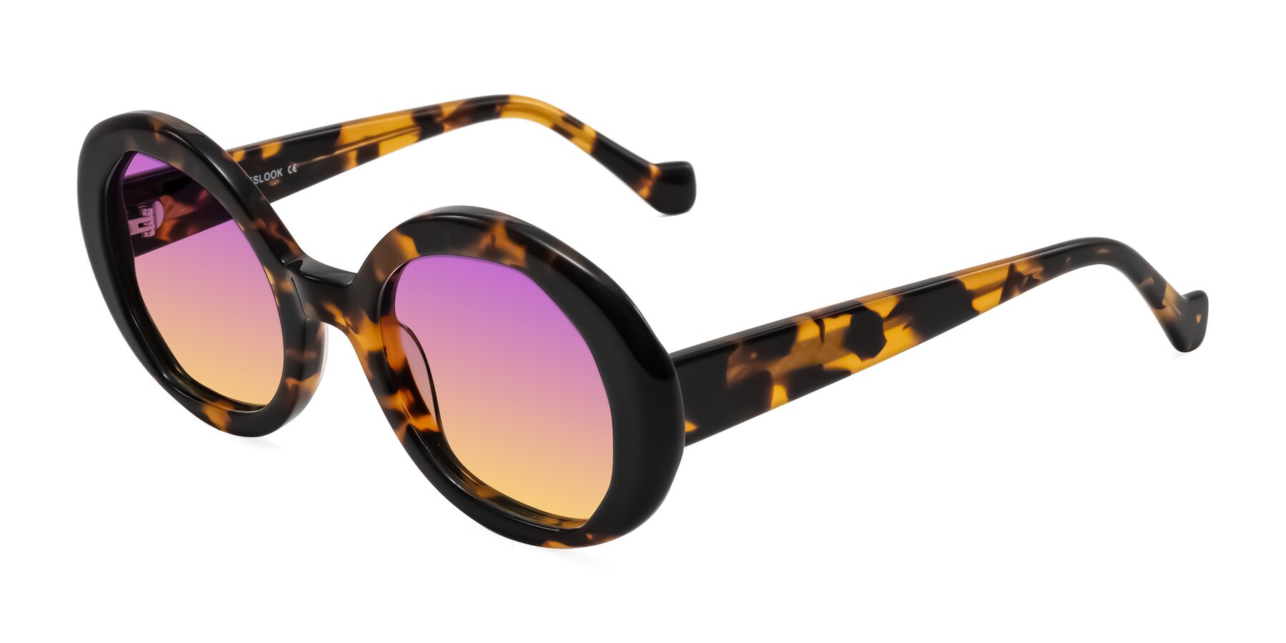 Angle of Rao in Tortoise/Black with Purple / Yellow Gradient Lenses