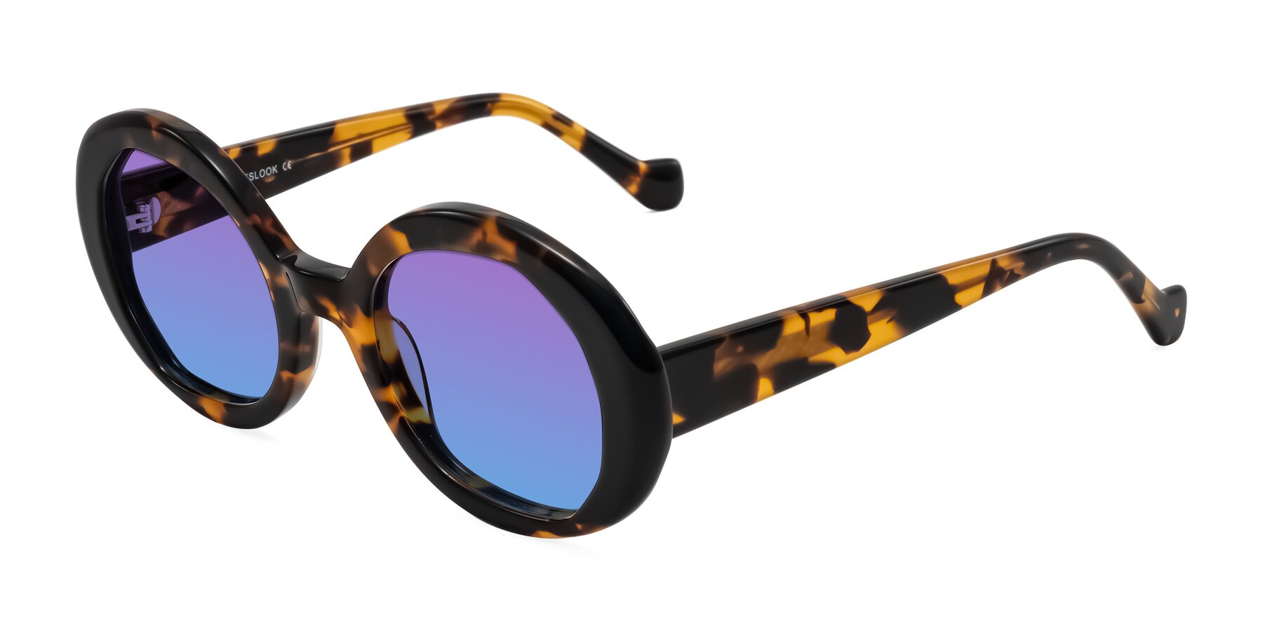 Angle of Rao in Tortoise/Black with Purple / Blue Gradient Lenses
