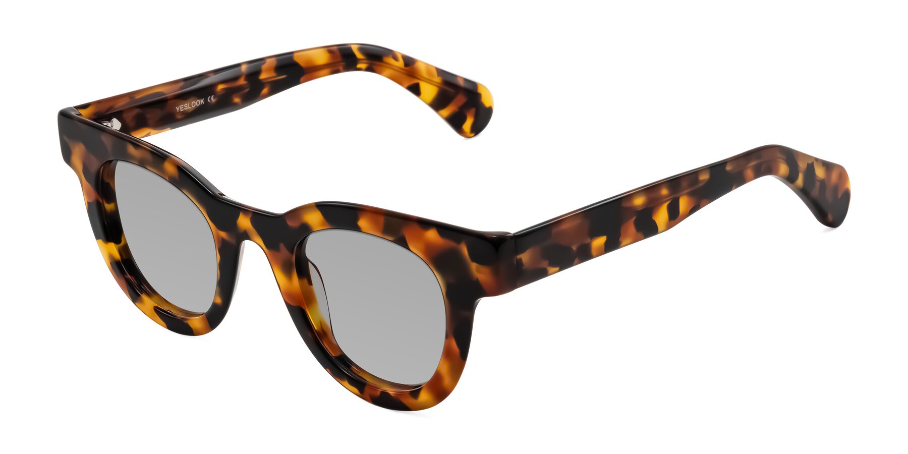 Angle of Embracing in Tortoise with Light Gray Tinted Lenses