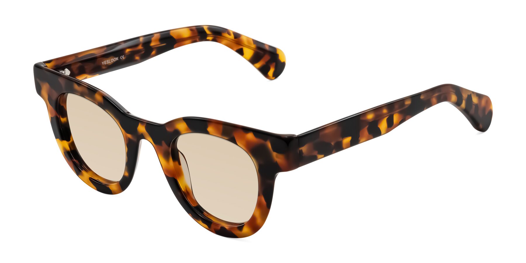 Angle of Embracing in Tortoise with Light Brown Tinted Lenses