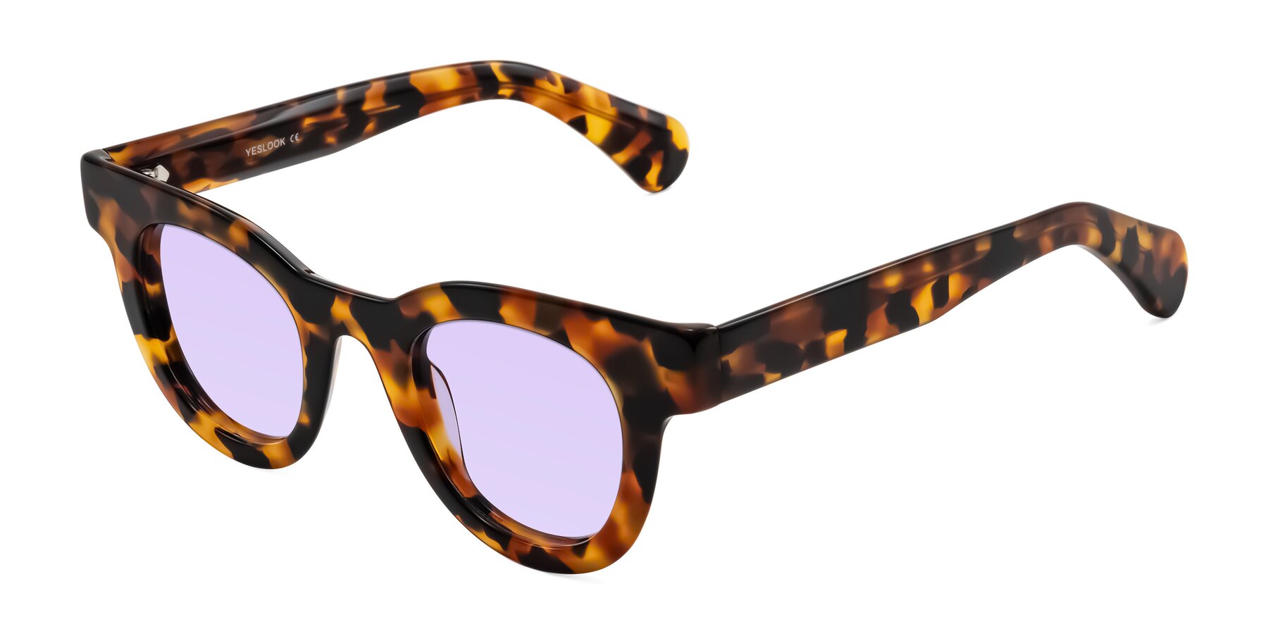 Angle of Embracing in Tortoise with Light Purple Tinted Lenses
