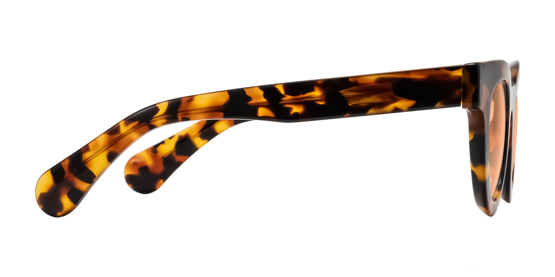 Side of Embracing in Tortoise with Light Orange Tinted Lenses
