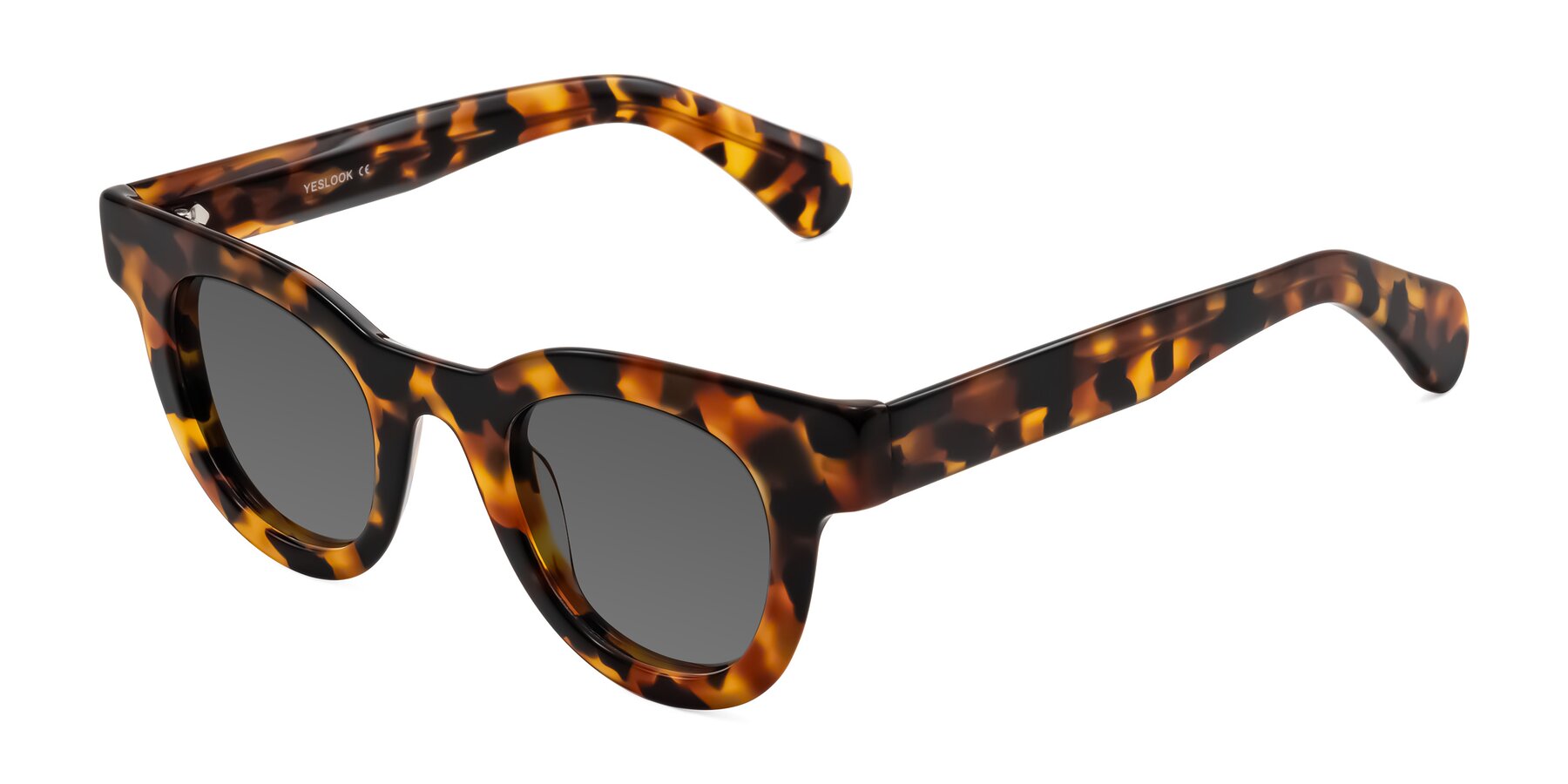 Angle of Embracing in Tortoise with Medium Gray Tinted Lenses