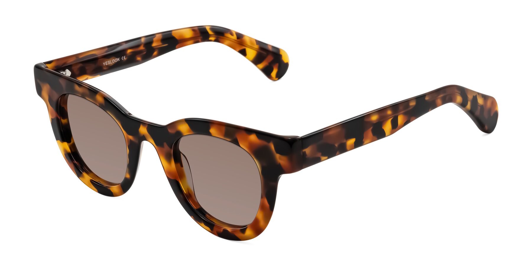 Angle of Embracing in Tortoise with Medium Brown Tinted Lenses