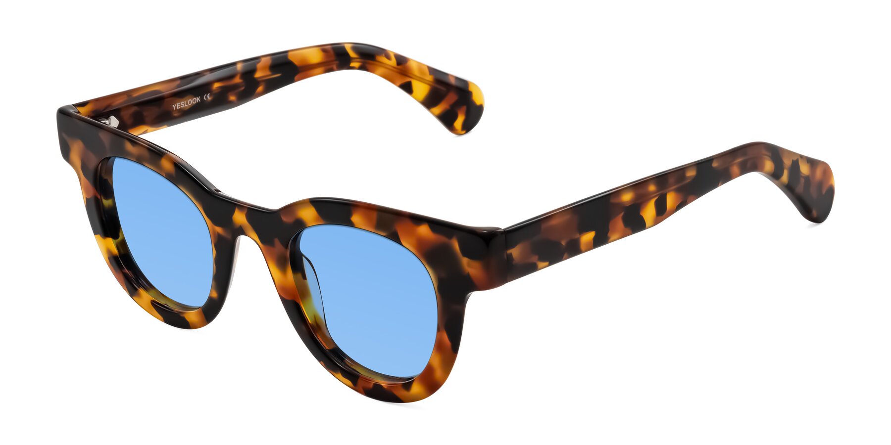Angle of Embracing in Tortoise with Medium Blue Tinted Lenses