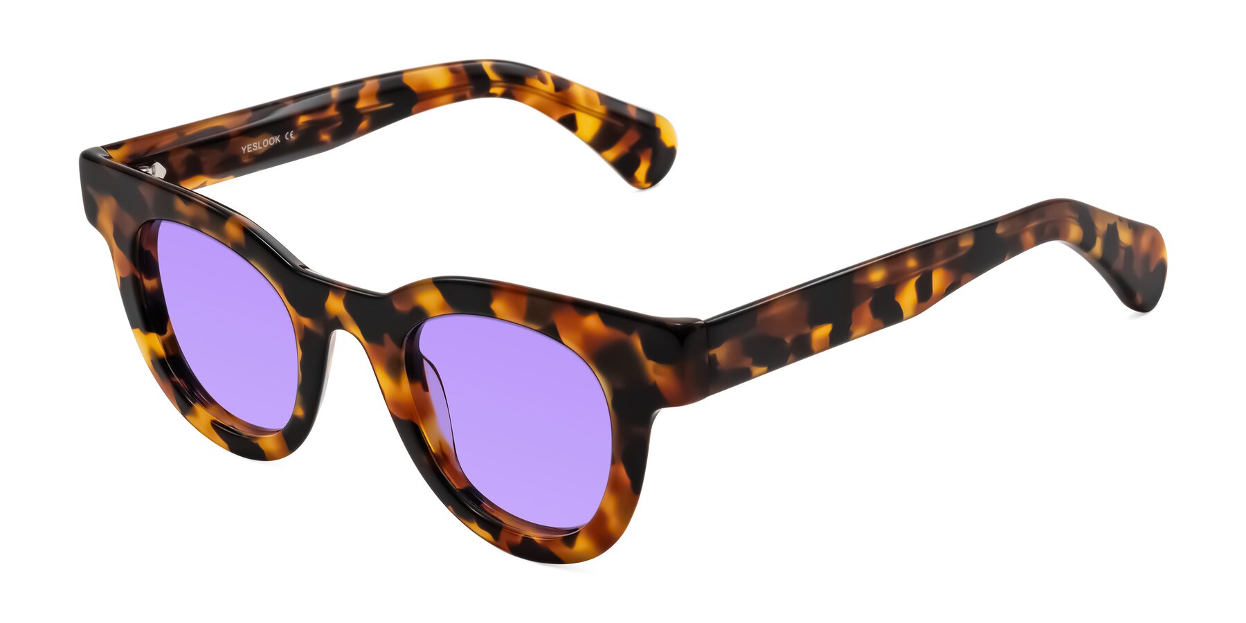 Angle of Embracing in Tortoise with Medium Purple Tinted Lenses
