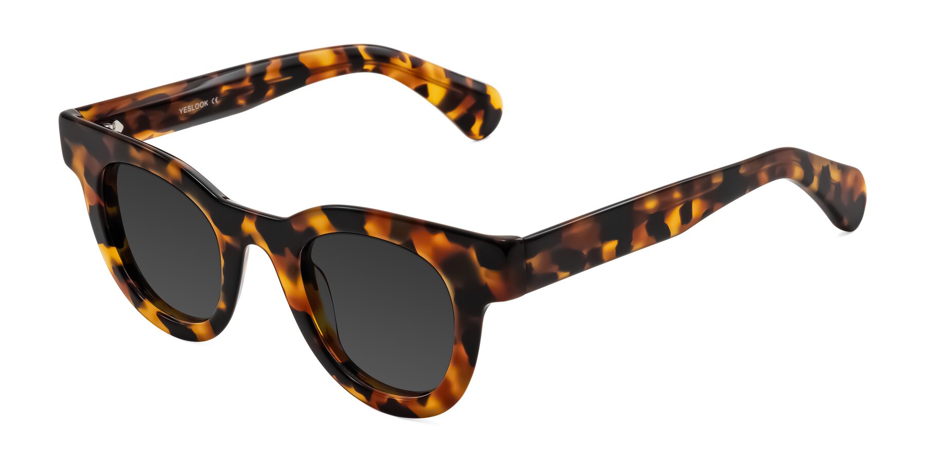 Angle of Embracing in Tortoise with Gray Tinted Lenses